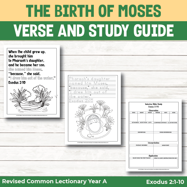 the birth of moses bible activity pages verse and study guide