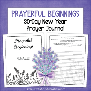 Prayerful Beginnings 30-Day New Year Prayer Journal for Women