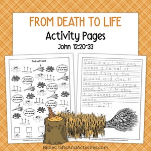 from death to life activity pages