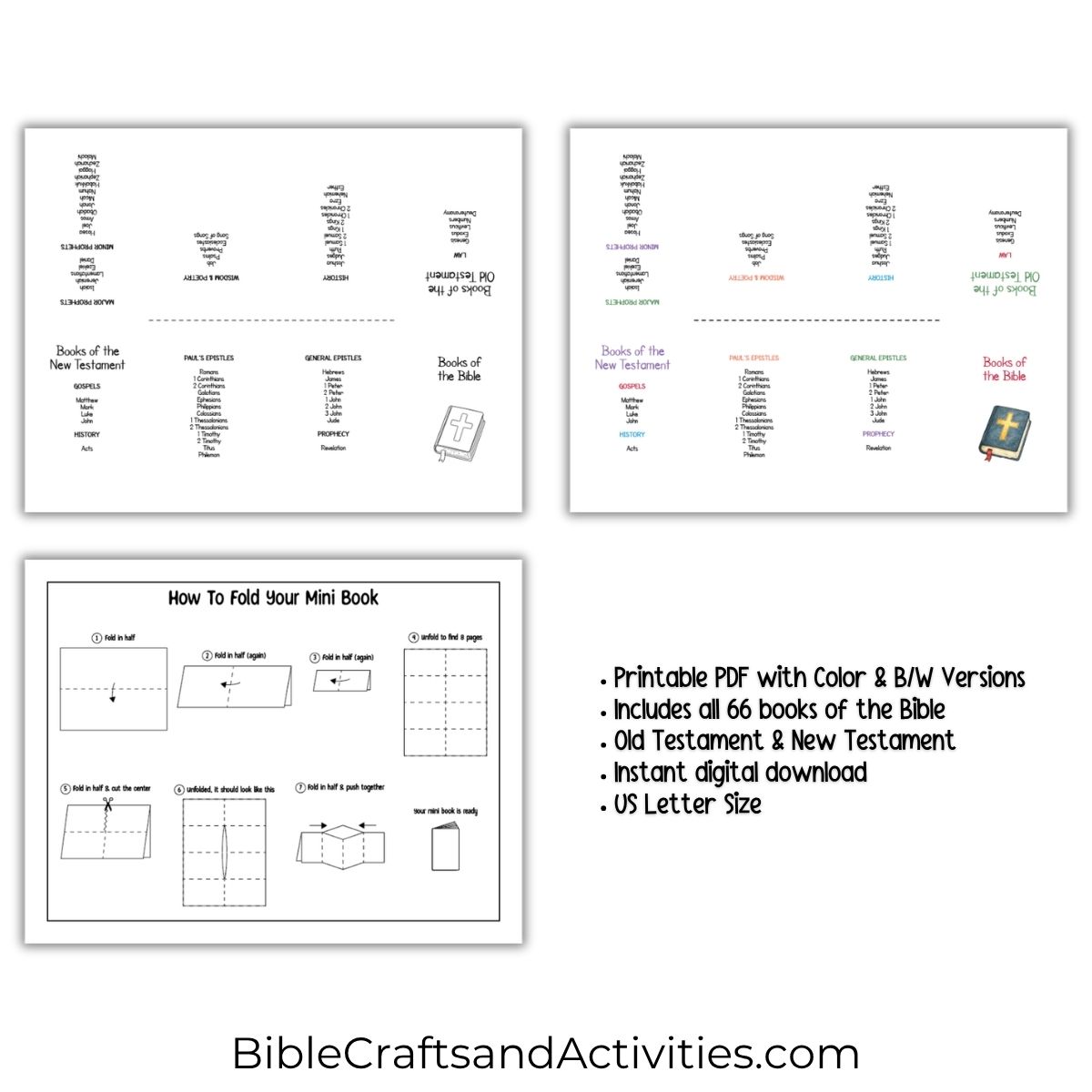 books of the bible mini book