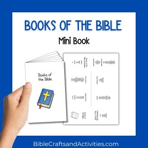 books of the bible mini book